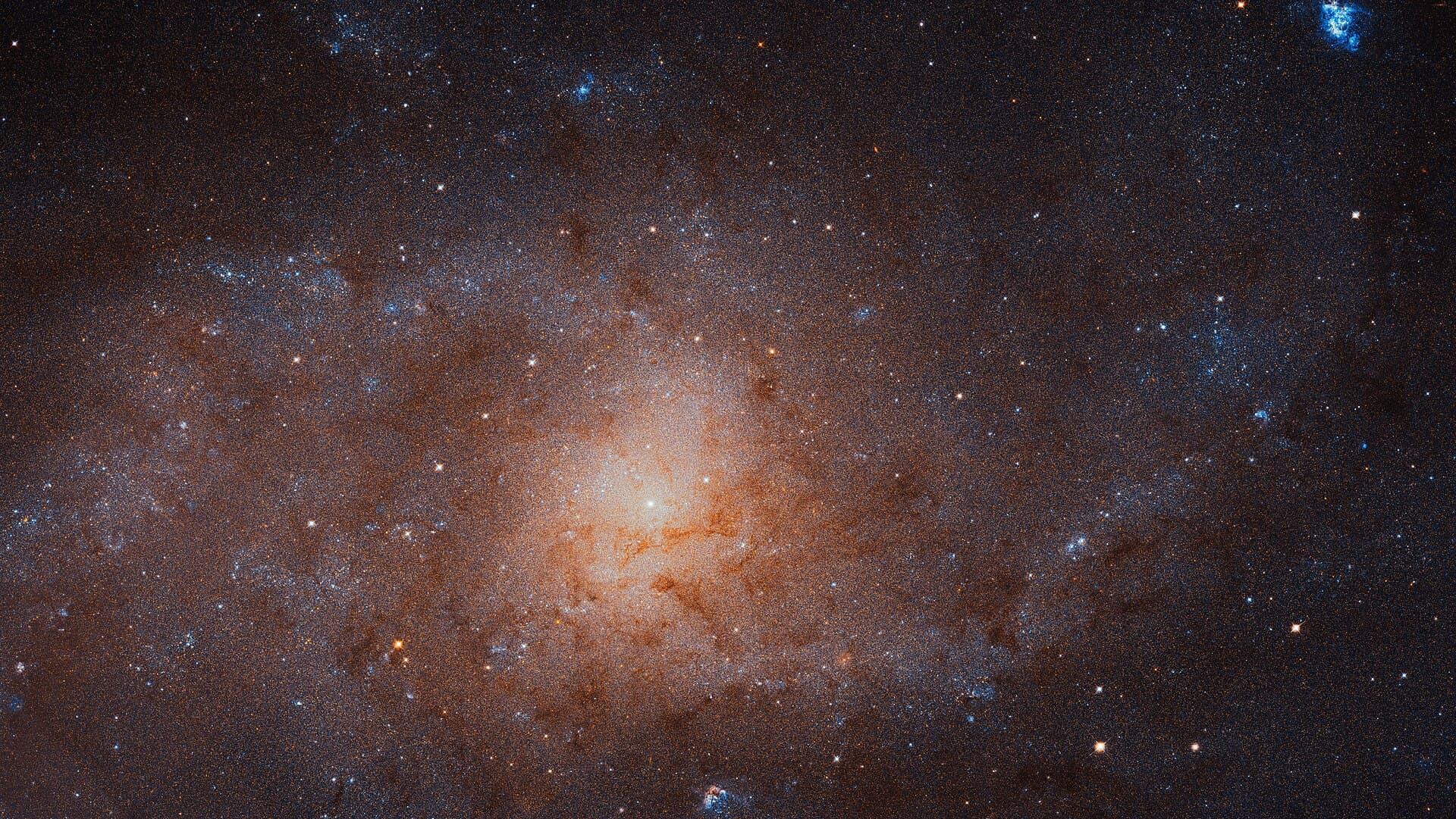 The Triangle Galaxy